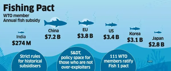 Delhi Moves to Ratify WTO Fish Pact, Seeks Cushion for Developing Nations