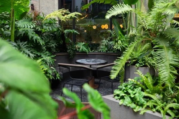 A green corner at a coffee shop in Hanoi. Photo courtesy of Rey Hotel
