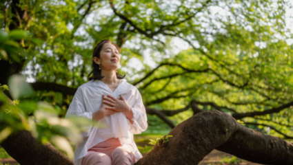 Forest Bathing is best to take 