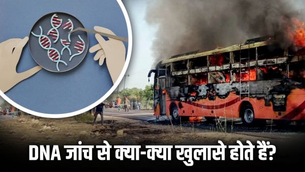Jaisalmer Bus Fire: How is DNA testing done on a dead body that was caught in the fire? Samples will be taken from the dead of Jaisalmer accident