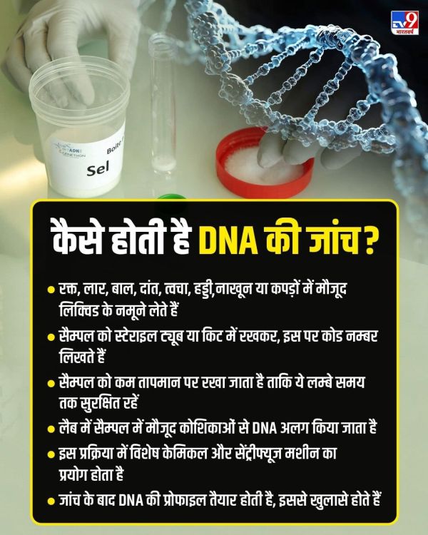 DNA Sampling Process Jaisalmer Bus Fire Accident