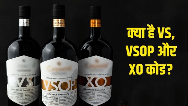 What do the codes VS, VSOP and XO written on brandy bottles mean, which one is more premium? What do the codes VS, VSOP and XO written on brandy bottles mean, which one is more premium?
