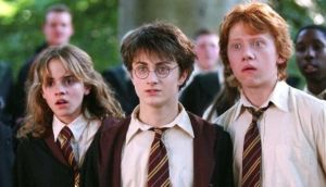 Harry Potter series 