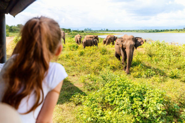 Ilustrasi wisata di Sri Lanka. Foto: Shutterstock