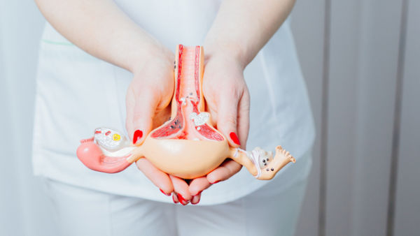 Ilustrasi ovarium. Foto: Shutter Stock