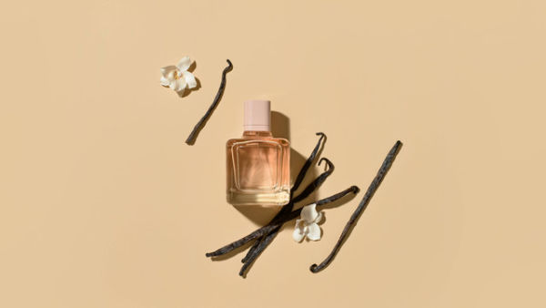 Ilustrasi Eau de Cologne & Eau Fraîche. Foto: Pixel-Shot/Shutterstock