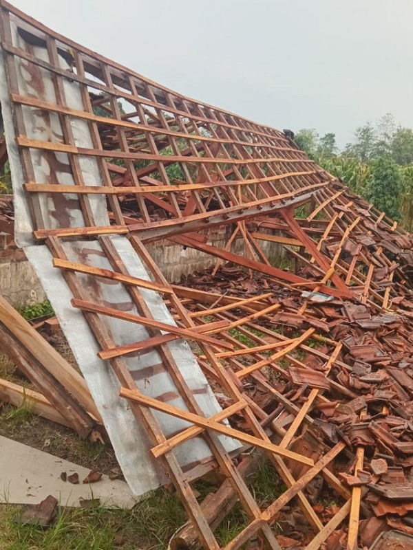 Kondisi bangunan rumah milik Mini (80) di Dusun Kalidandang, Desa Napis, Kecamatan Tambakrejo, Kabupaten Bojonegoro, yang roboh. Jumat (17/10/2025) (Aset: Istimewa)