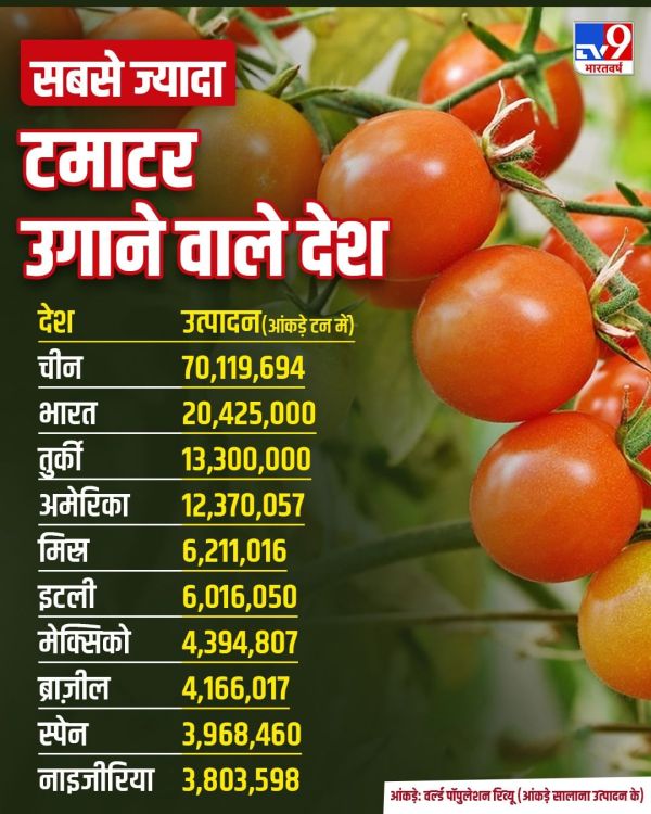 Top Country In Tomato Production