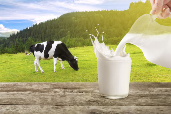 Ilustrasi susu sapi untuk anak. Foto: Alter-ego/Shutterstock