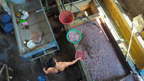 Sampah plastik yang telah dicacah dan akan diolah menjadi furnitur.