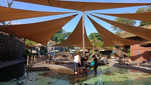 KONSERVASI DAN EDUKASI  Marine Safari Bali 2