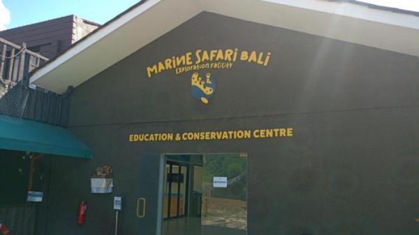 KONSERVASI DAN EDUKASI  Marine Safari Bali 1