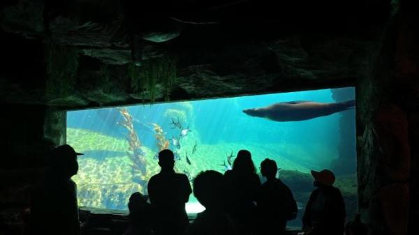 KONSERVASI DAN EDUKASI  Marine Safari Bali 5