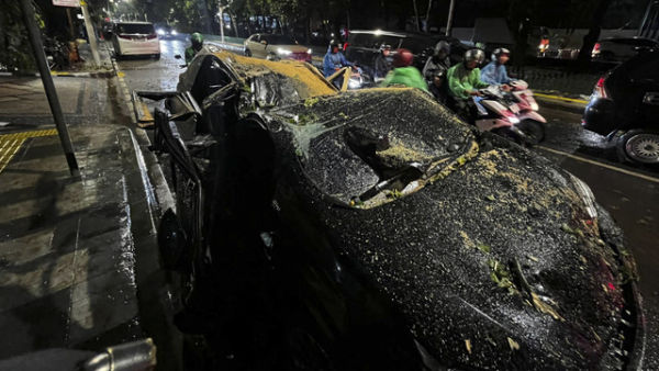 Mobil hancur akibat pohon tumbang di Jalan Dharmawangsa Raya, Jakarta Selatan, Kamis (30/10/2025). Foto: Rayyan Farhansyah/kumparan