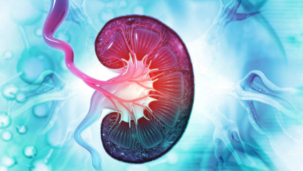 Disadvantages of eating potatoes for kidney patients