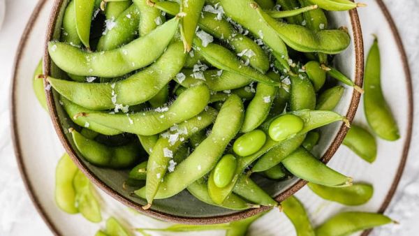 (Image Source: Pinterest/eatingbirdfood)