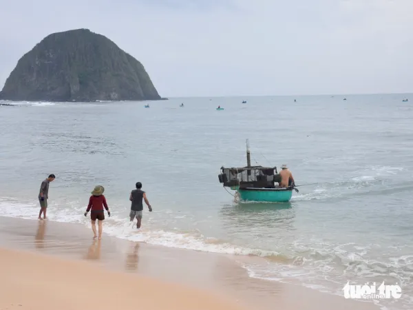 Tất bật đưa tôm hùm 'chạy' bão Kalmaegi- Ảnh 1.