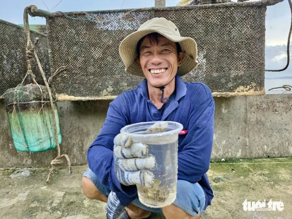Tất bật đưa tôm hùm 'chạy' bão Kalmaegi- Ảnh 12.