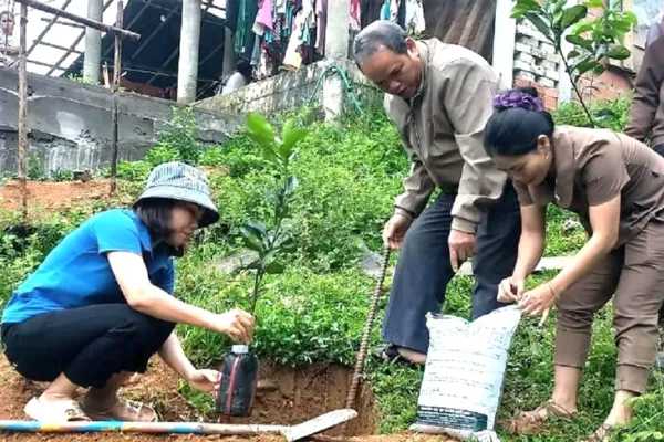 Giải bài toán thoát nghèo cùng bạn trẻ Cơ Tu - Ảnh 2. thoát nghèo - Ảnh 2.