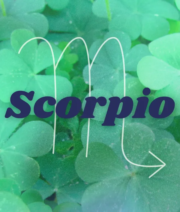 scorpio zodiac signs abundance luck November 6 2025