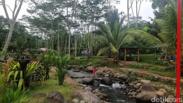 Ledok Sambi di Desa Wisata Sambi, Sleman, Yogyakarta, memiliki keindahan alami dari aliran sungai di tengah rumput hijau. Yuk kita lihat.