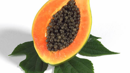 Eating papaya reduces constipation 