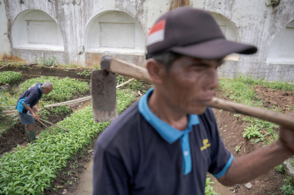 Warga binaan pemasyarakatan (WBP) merawat tanaman kangkung. Foto: Aprillio Akbar/ANTARA FOTO