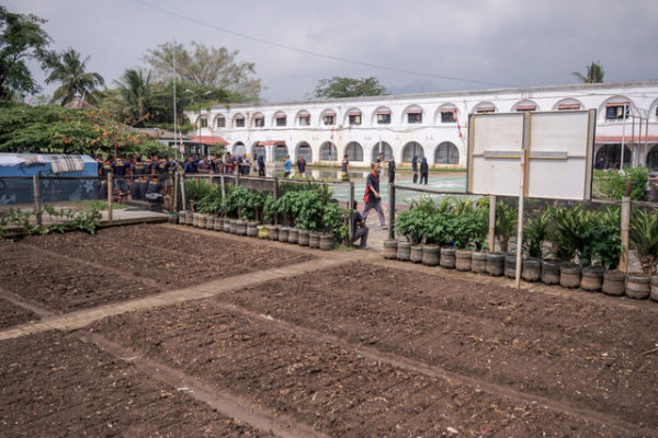 Ladang pertanian di dalam Kelas II A Ambarawa. Foto: Aprillio Akbar/ANTARA FOTO