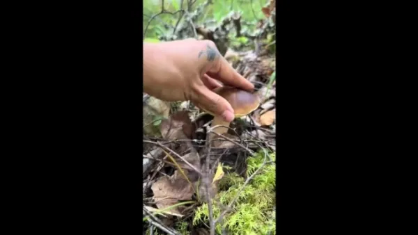 Love transcends cultural barriers between a Vietnamese wife and a Finnish husband