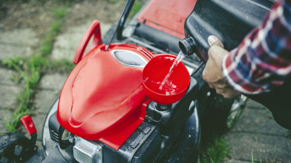 Person preparing lawn mower for use.