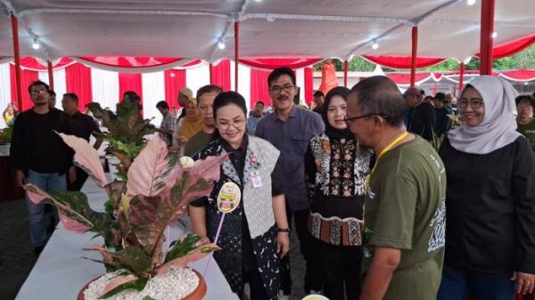 KONTES - Wali Kota Semarang, Agustina Wilujeng Pramestuti meninjau kontes tanaman di Eks Wonderia, jalan Sriwijaya, Tegalsari, Candisari, Jumat–Minggu, (16/13/2025).