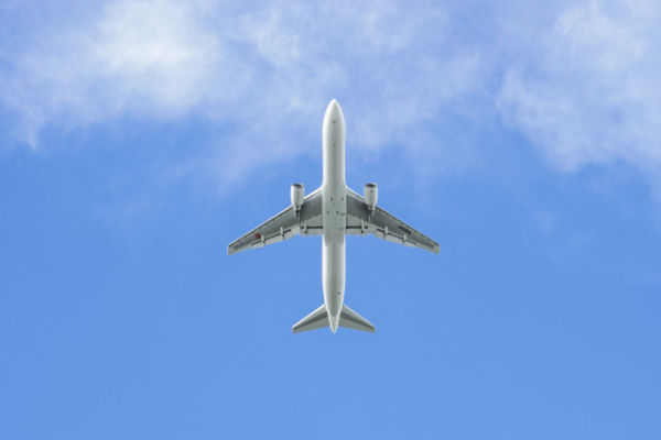 Ilustrasi pesawat yang tengah mengudara Foto: kazu8/Shutterstock
