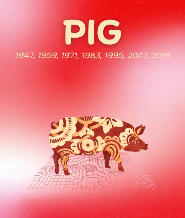 pig chinese zodiac sign weekly horoscope november 17 - 23, 2025