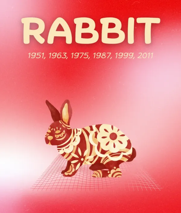 rabbit chinese zodiac sign weekly horoscope november 17 - 23, 2025