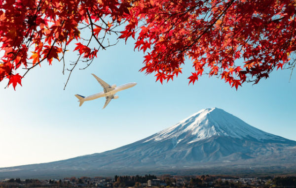 Ilustrasi pesawat di Jepang. Foto: AppleZoomZoom/Shutterstock