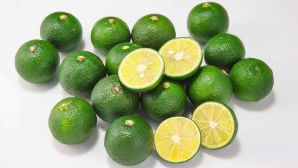 (Image Source: Canva)