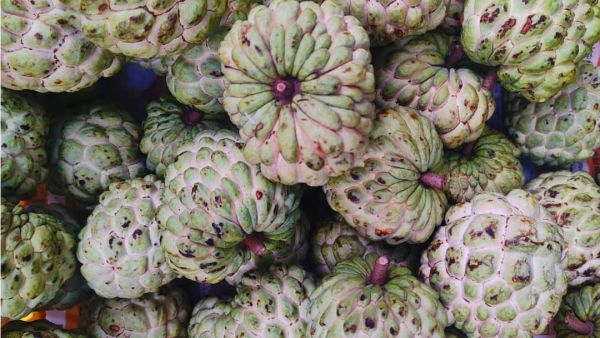 (Image Source: Canva)