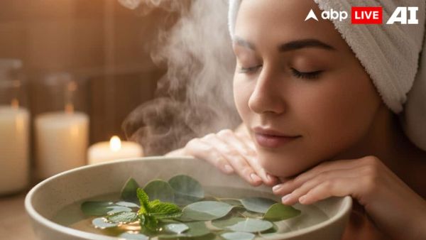 (Image Source: ABPLIVE AI)