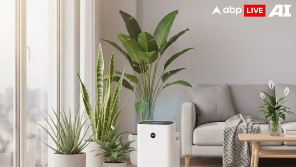 (Image Source: ABPLIVE AI)