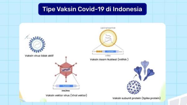 TIPE VAKSIN - Foto dari Skolla yang diunggah pada Jumat (29/8/2025). Ini adalah macam-macam Tipe Vaksin Covid-19 di Indonesia.