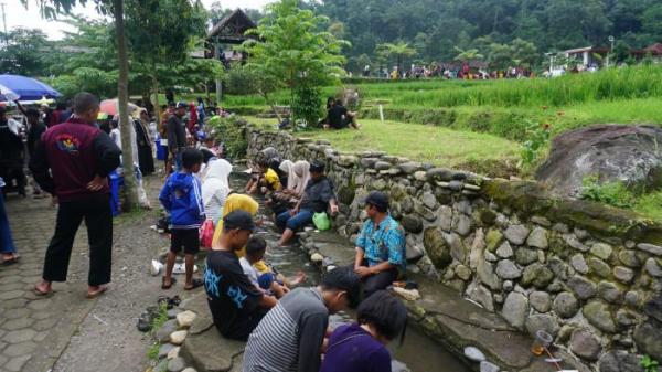 Pengunjung Arenan Kalikesek sedang melakukan terapi ikan.