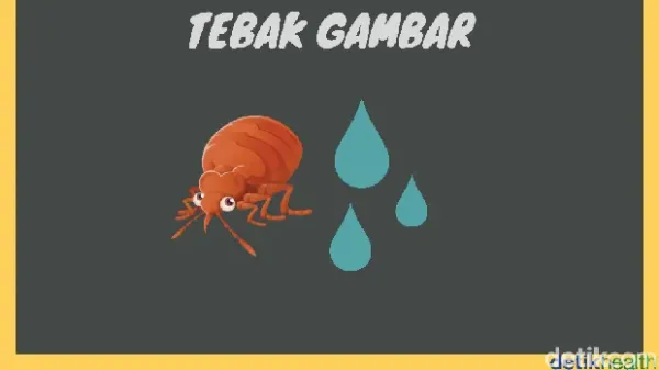 tebak gambar firdaus anwar