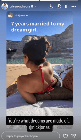'7 years married to my dream girl': Nick Jonas drops romantic note for sexy Priyanka Chopra, shares loved-up photo dump from their anniversary getaway