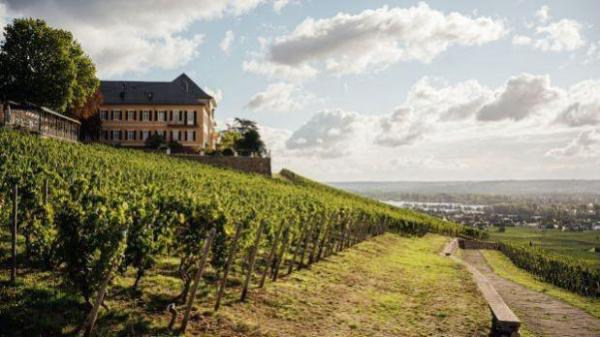 Schloss Johannisberg – Rheingau, Germany