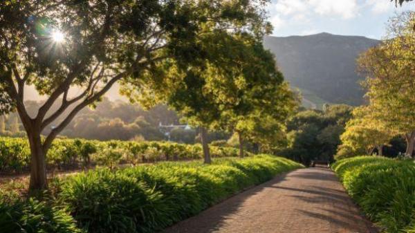 Klein Constantia – Western Cape, South Africa