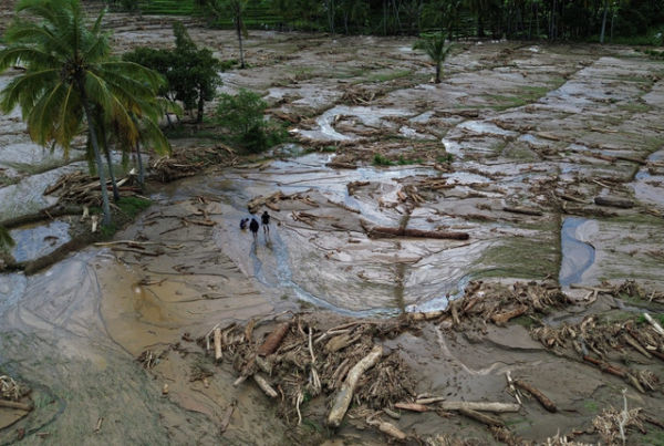 Foto Udara sampah kayu gelondongan pasca banjir bandang di Nagari Muaro Pingai, Kecamatan Junjung Sirih, Kabupaten Solok, Sumatera Barat, Sabtu (29/11/2025). Foto: Wawan Kurniawan/ANTARA FOTO