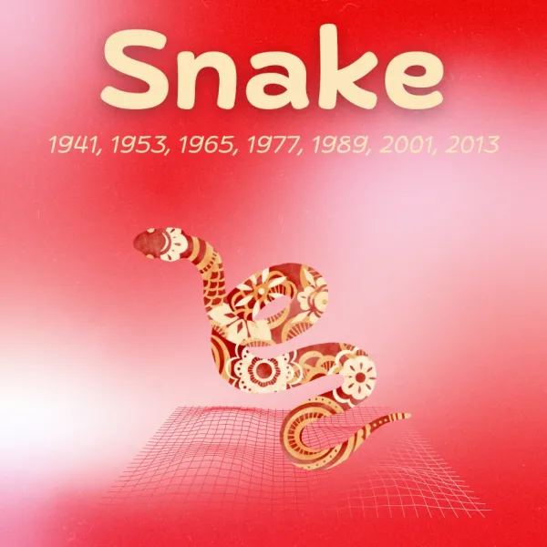snake chinese zodiac signs luck prosperity December 4 2025
