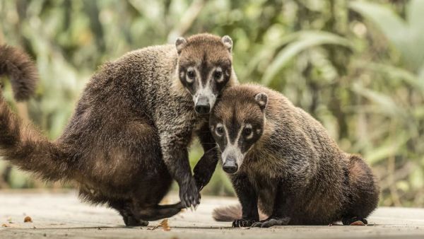 (Image Source: Pinterest/flickr)