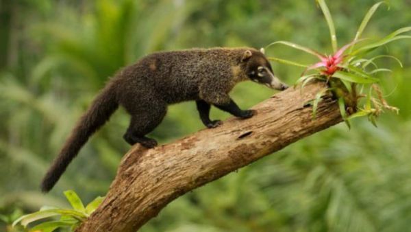 (Image Source: Pinterest/wospaces)