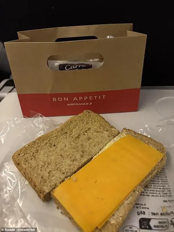 Duh! Menu Sandwich di Pesawat Ini Disebut Mirip Makanan Penjara Duh! Menu Sandwich di Pesawat Ini Disebut Mirip Makanan Penjara